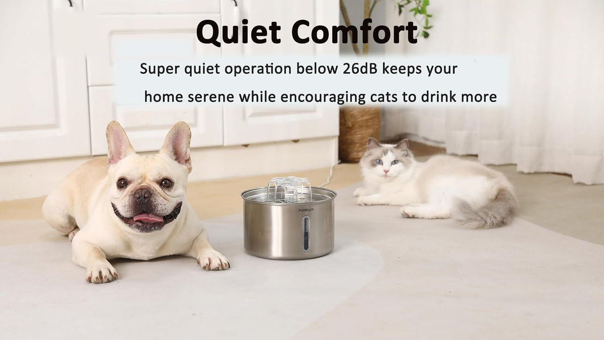 Stainless Steel Cat Fountain, 102 Oz/3L Automatic Pet Fountain for Cats and Small Dogs, Ultra-Quiet Pump with White LED Light, Water Level Window