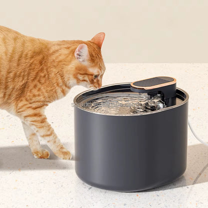2025 Large Capacity Smart LCD Display Plastic Rounded Design Pet Water Dispenser Automatic Circulate Filtering Cat Dog 3L